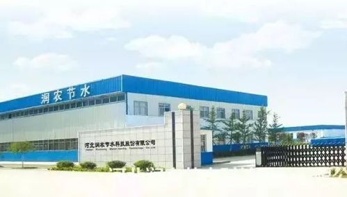 河北18家企業進入上市輔導期，資本市場迎燕趙新軍