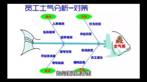 企業(yè)管理咨詢公司手把手教你如何使用魚骨圖